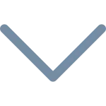Chevron Down SVG Icon